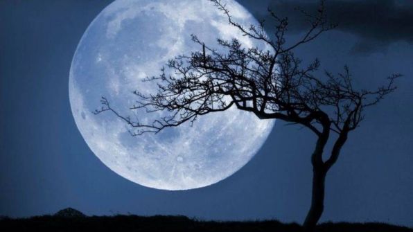  أسباب اختلاف وجهَي القمر القريب والبعيد.. دراسة تكشف السر 